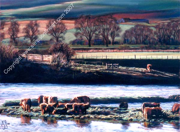 Cattle Grazing On The River Earn Cattle Grazing On The River Earn