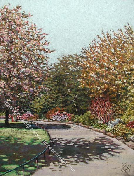 Flowering Cherry, The Botanic Gardens, Glasgow Flowering Cherry, The Botanic Gardens, Glasgow